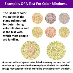 CareVision Ishihara Color Blindness Test Book – 38 Plates –Vision Eye Test Chart