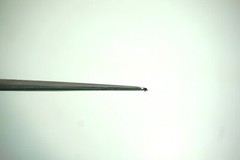 LOT OF 2 HASLAM STAINLESS FORCEPS 8.75″ LONG WITH POINTED ENDS MADE IN USA