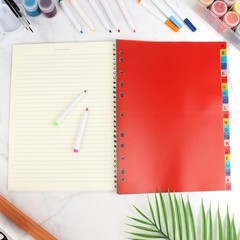 A-Z Plastic Binder Dividers 21 Tab, Alphabet Dividers with Tabs for 3 Ring, M…