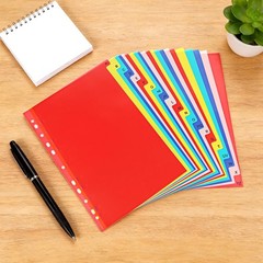 A-Z Plastic Binder Dividers 21 Tab, Alphabet Dividers with Tabs for 3 Ring, M…