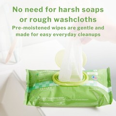 McKesson Flushable* Personal Wipe 6-9/10 X 7 Inch FLF48 12 Pack 576 Wipes