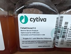 Exp 2027 Cytiva / Hyclone 100 ml fetal bovine serum, US origin, FBS