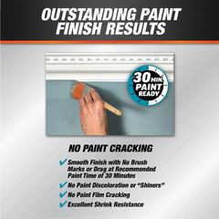(4 Pack) Alex plus 10.1 Oz Clear All Purpose Acrylic Latex Caulk plus Silicone