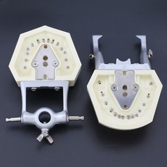 Dental Typodont Preparation Restoration Model 28 Removable Teeth Kilgore NISSIN