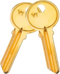 50PCS 5YA1 KEY BLANKS FOR LOCKSMITH FITS Y1 KEY SET BRASS FINISH Y1 KEY BLANK