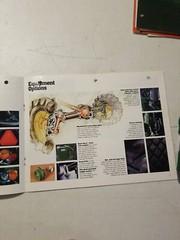 JOHN DEERE COMPACT UTILITY DIESEL 1981 Buyers Guide Brochure