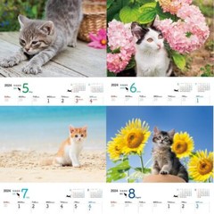 JTB Calendar Nyanko 2024 Wall Hanging Cat (Calendar 2024)