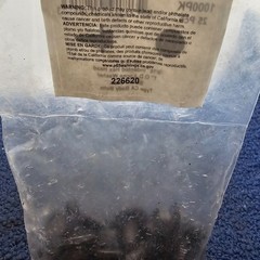 (25 PCS) Disco 1000PK: 3/8-16 x 1″, 9/16″ Indented Hex Washer Head CA Body Bolt