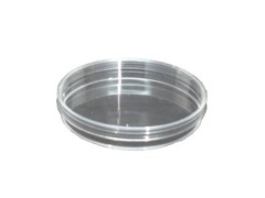 Petri Dishes with Lids 100mm x 15mm, 10 Pack, Sterilized, Polystyrene-Heavy Duty