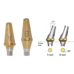 US Dental 17° Angled Anatomic/Straight Transfer Abutment Fit Hiossen Osstem M/R