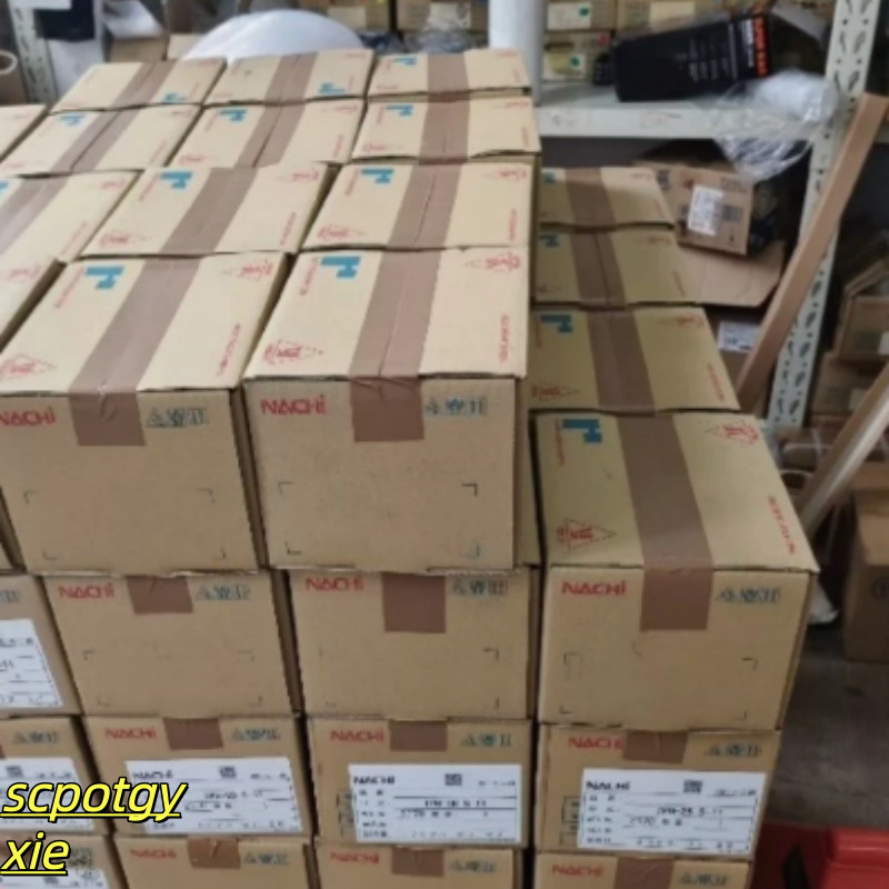 PVS-2B-45N3-20 Plunger Pump DHL/FedEx