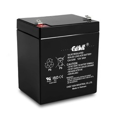 Casil CA1250 12V 5Ah SLA AGM Alarm Battery – Rechargeable Sealed Lead Acid…