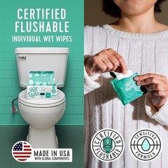 Flushable Wipes, Individually Wrapped, Travel Friendly, Unscented with Cucumb…