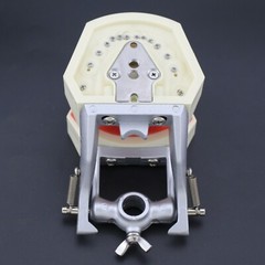 Dental Typodont Preparation Restoration Model 28 Removable Teeth Kilgore NISSIN