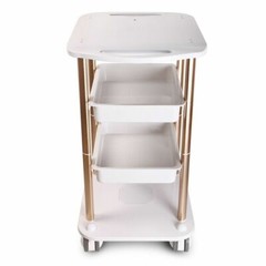 Beauty Salon Trolley Esthetician SPA Equipment Storage Stand Trolley Cart 360??