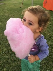 Concession Essentials Cotton Candy Cones- Pack of 100ct Cotton Candy Cones. Whit