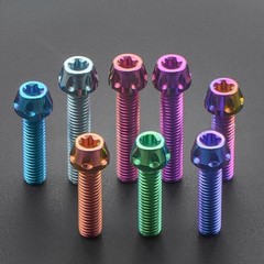 Titanium alloy screws M5/M6/M8 tapered patterned plum blossom head screws