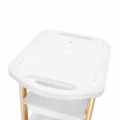 Rolling Cart Salon SPA Trolley Stand For Cavitation Beauty Machine Instrument US