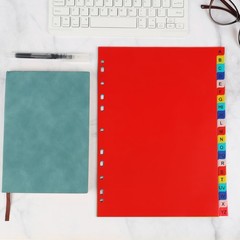 A-Z Plastic Binder Dividers 21 Tab, Alphabet Dividers with Tabs for 3 Ring, M…