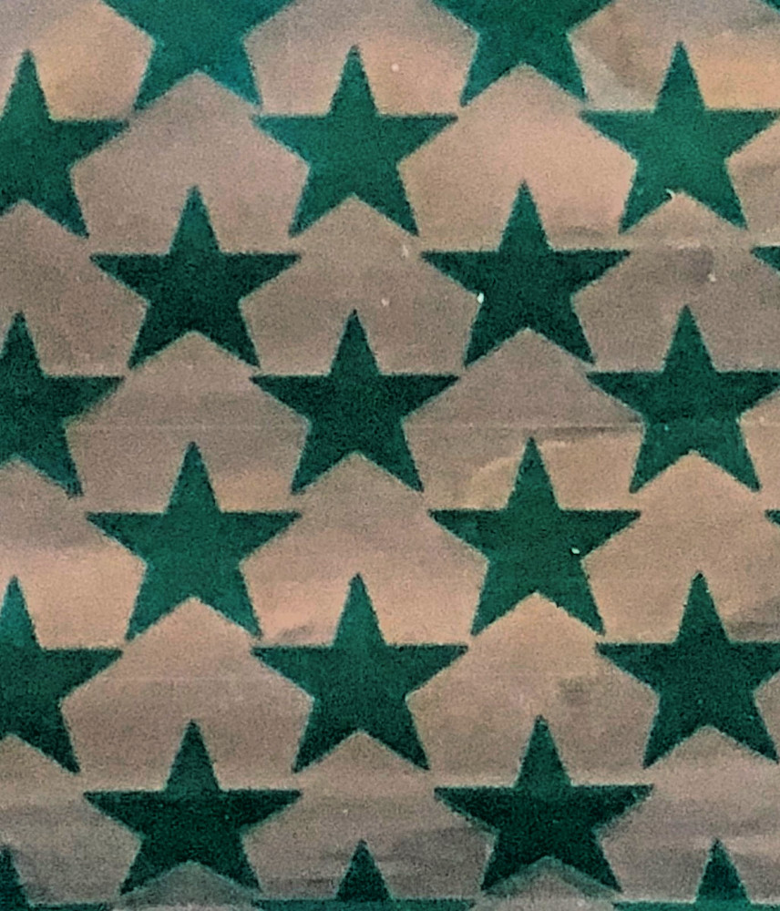 700 SMALL BAGGIES 2″ x 2″ 2020 MINI RESEALABLE POLY DESIGNER BAGS GREEN STAR