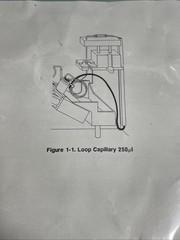 HP Improved Loop Capillary 250 µL 79846-87613