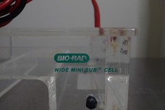 Bio-Rad Wide Mini-Sub Cell Electrophoresis System