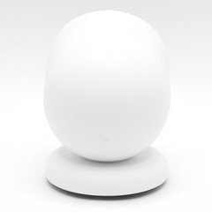 Google Nest Wire Free Security Indoor/Outdoor Camera (Snow) G3AL9