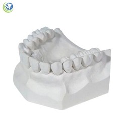 DENTAL LAB PLASTER CREAMY WHITE TYPE II REGULAR SET 1 Lb. (454 G)