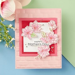 E3D-080 Woven 3D Embossing Folder from the Spring Sampler Collection by Simony