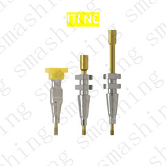 RC/NC Dental Transfer Open/Closed/Analog Tray Impression Coping Straumann ITI