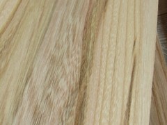 Elm wood veneer, 3 veneer sheets, ~18.1 x 8.26″ (46 x 21 cm) ~0.6 mm (~1/42″)