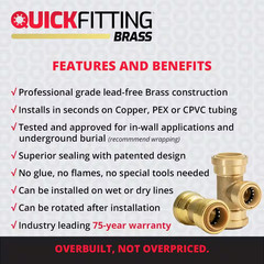 1/2 In. Push-To-Connect Brass Polybutylene Conversion Coupling Fitting
