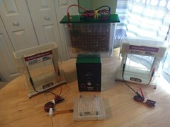 Gel Electrophoresis and ImmunoBlot Devices