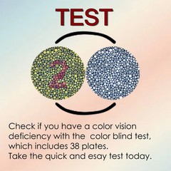 CareVision Ishihara Color Blindness Test Book – 38 Plates –Vision Eye Test Chart