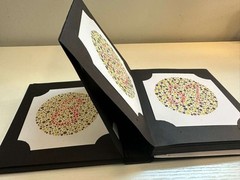 Ishihara 38 Plates Color Blindness Test Book – Latest Edition | Liberty USA