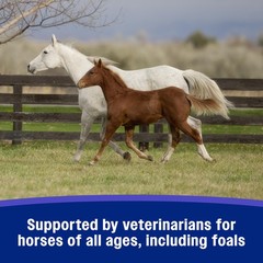 Farnam SandClear Psyllium Crumbles Supplement for Horses, 3 pounds, Brown