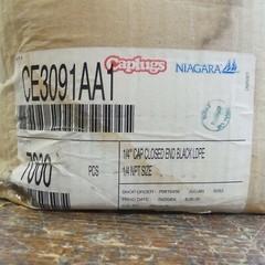 Qty 75 Caplugs CE-309 NPT Plastic Cap National Pipe Taper – 1/4″ NPT – ID .530″