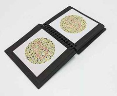 38 Plate Ishihara Test Book for Color Blindness Testing