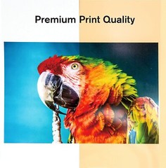 Koala Clear Transparency Film for Laser Printers 8.5×11 Screen Printing 20 Sheet