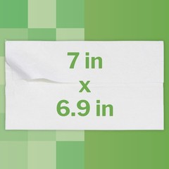 McKesson Flushable* Personal Wipe 6-9/10 X 7 Inch FLF48 12 Pack 576 Wipes