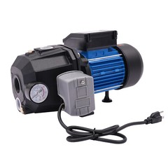 0.75HP 1” Shallow Well Jet Water Pump Booster Garden Sprinkler 3420r/min Black