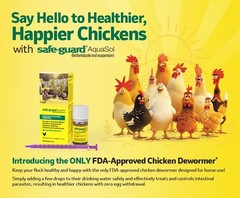 Safe-Guard Aquasol Dewormer for Chickens, 3mL – Ascaridia & Heterakis