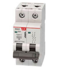 BK63H 2P C10A LS 2 Pole Type C 10 Amp