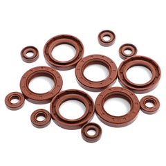 Oil Seal 5 to 15mm Rotary Shaft FKM Rubber Double Lip Stainless Steel Spring TTO