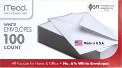 White Security Envelopes 100 Count 6 3/4 inch Gummed Closure for Letters