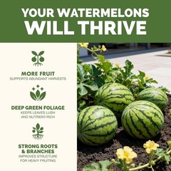 Liquid Watermelon Fertilizer for Bigger Melons, Vines & Strong Roots, 8 oz