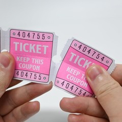 DGBDPACK 250 Raffle Tickets, 50/50 Double Roll 2 inches x 1 inch, Pink