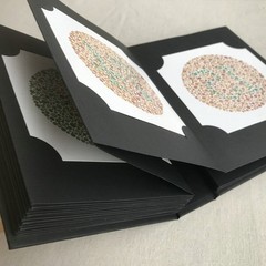 Eye Care Essential Ishihara’s Complete Color Blindness Test Kit of 2024