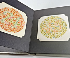 Vtg ESTATE Handaya New Color Blindness Test Charts 16 Plates by Ishihara Tokyo