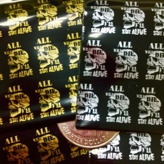 BaggiesSince1987 – 2020 Design Zip Bags Metallic 50 DSN Mix 500PCS, READ DETAILS